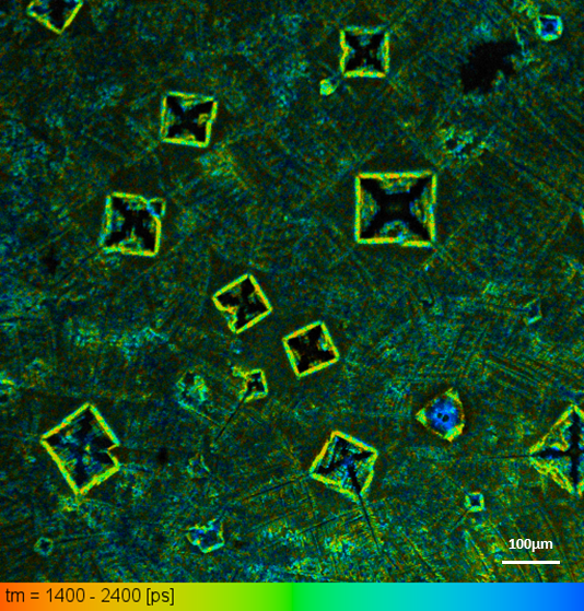 Barnoy Liposomes with Gold Nanorods and FITC Fluorescence Lifetime