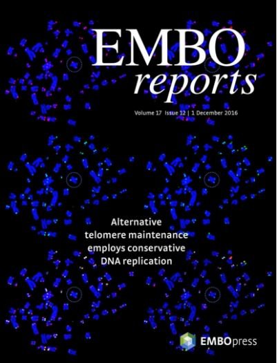 embo1